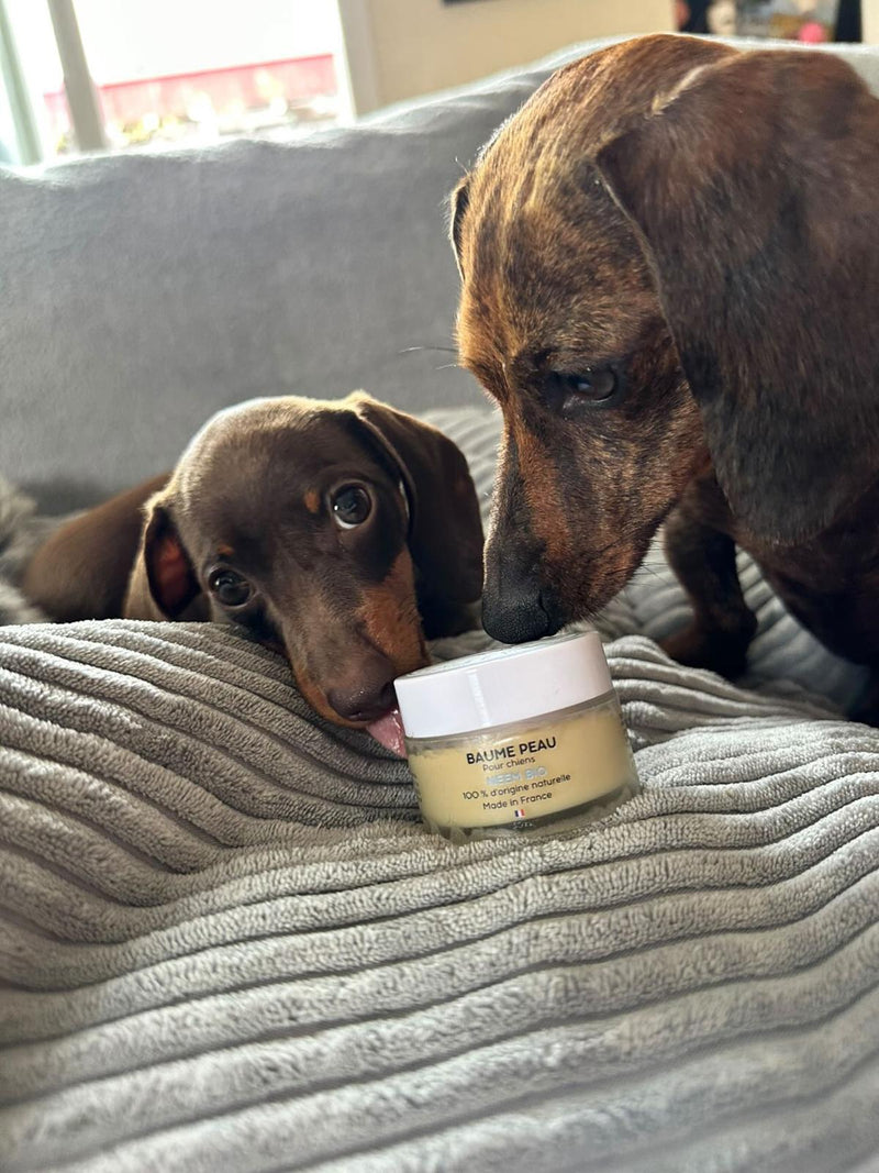 Utah & Ariette