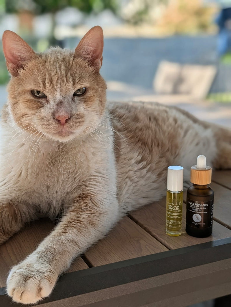 Photo communaute Les Secrets de Boubou