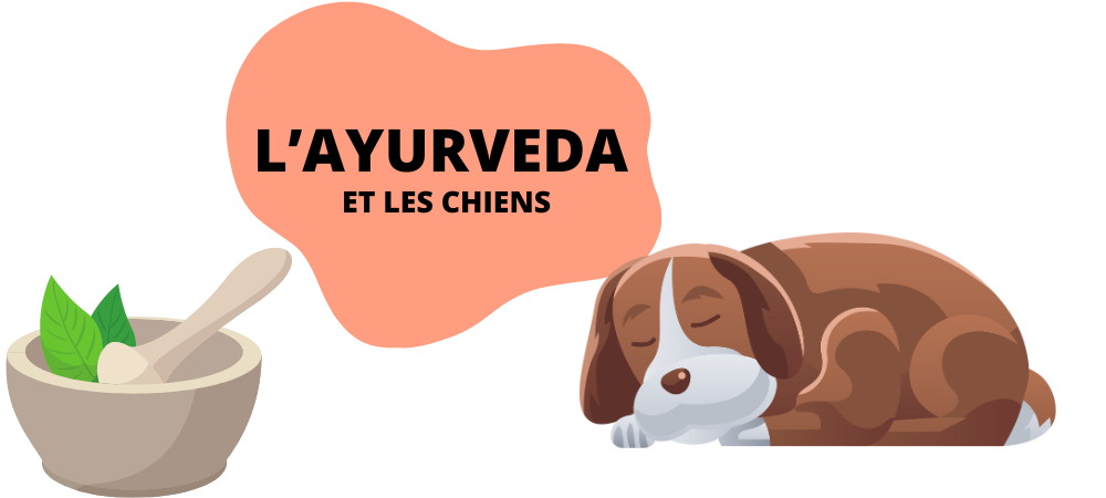 L'ayurveda et les chiens