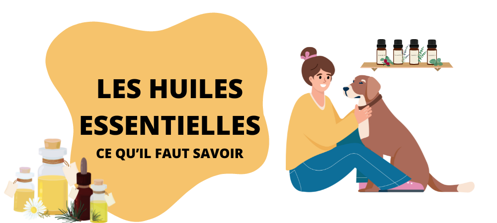 Les huiles essentielles pour nos animaux : ce qu'il faut savoir avant de les utiliser.
