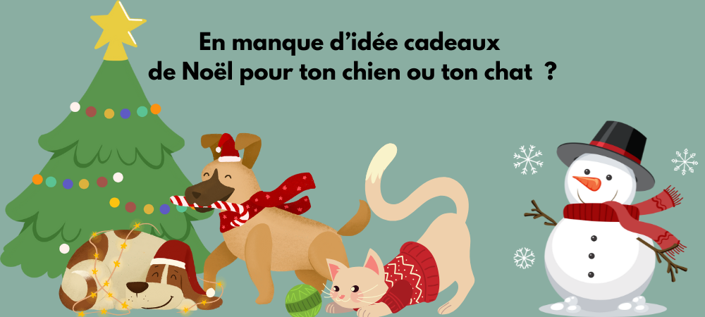 Idées cadeaux de Noël pour chiens et chats