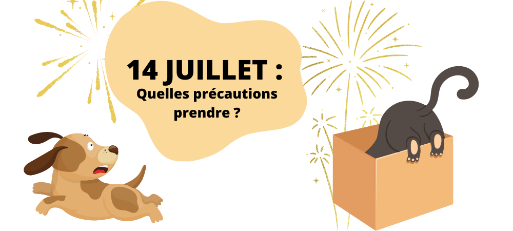 14 Juillet : quelles précautions prendre pour nos animaux ?