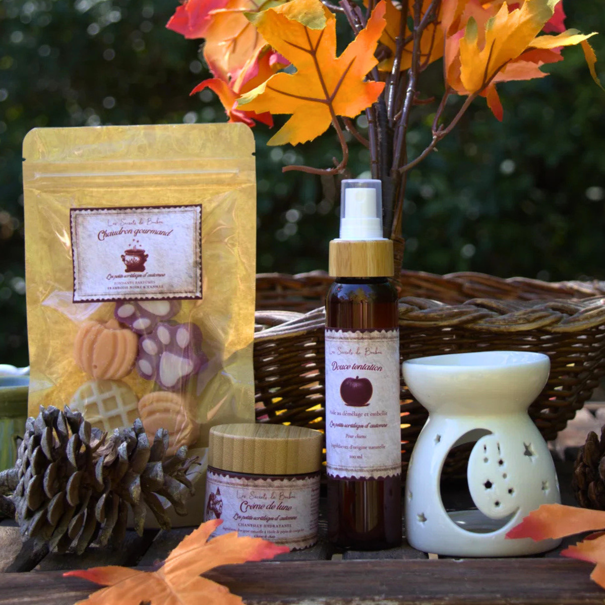 🍂 Les Petits Sortilèges d’Automne