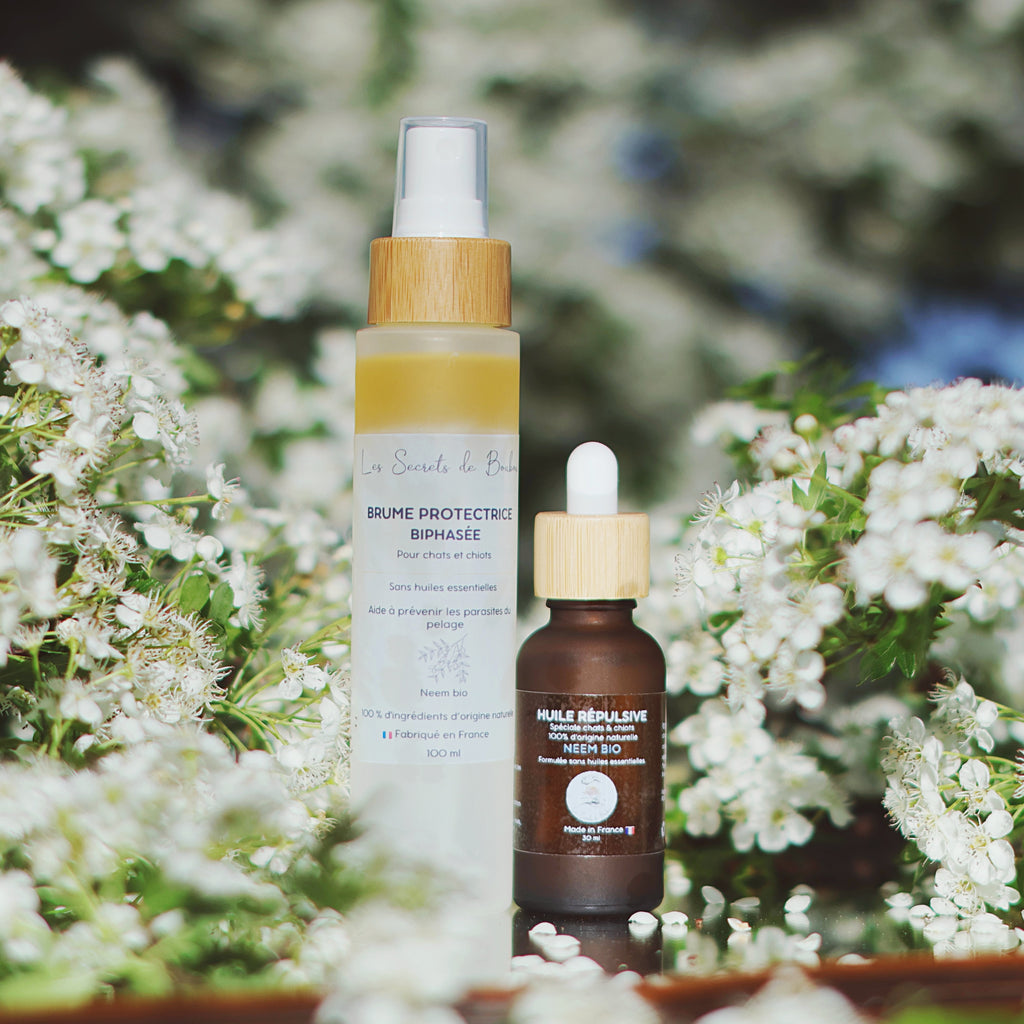 Duo rituel protecteur