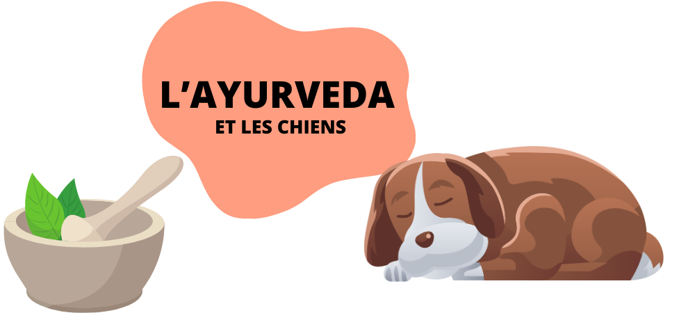 You are currently viewing L’ayurveda et les chiens