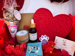 Boxe Saint-Valentin pour chiens dog lover