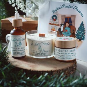 Box de Noël pour chiens et chats - édition Boubou's Pawfect Christmas