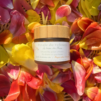 Chantilly de soin hydratante pour chiens et chats